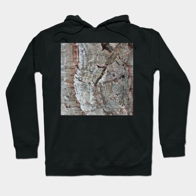 Cork Oak Tree Bark Texture 6 Hoodie by oknoki